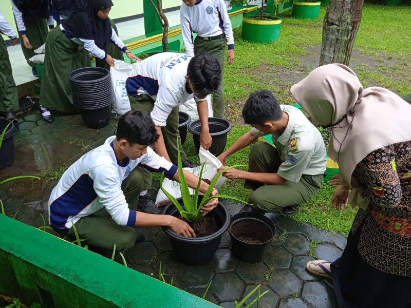 Aloe Vera Sebagai Media Pembelajaran Di MAN Purworejo